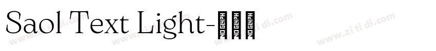 Saol Text Light字体转换